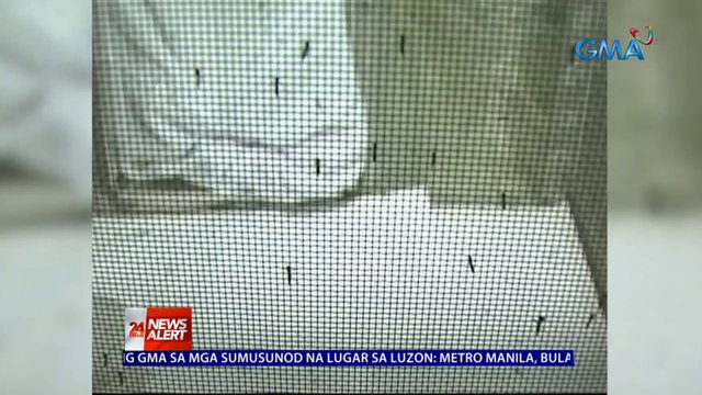 DOH: 143% na mas mataas ang dengue cases ngayon kumpara sa kaparehong panahon noong 2021 | 24 Oras News Alert