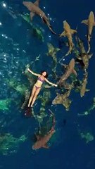 Girl Floating on the Water Surface as Sharks Swim Underneath