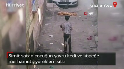 Download Video: Simit satan çocuğun yavru kedi ve köpeğe merhameti, yürekleri ısıttı