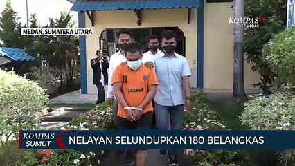 Polisi Gagalkan Penyelundupan Belangkas