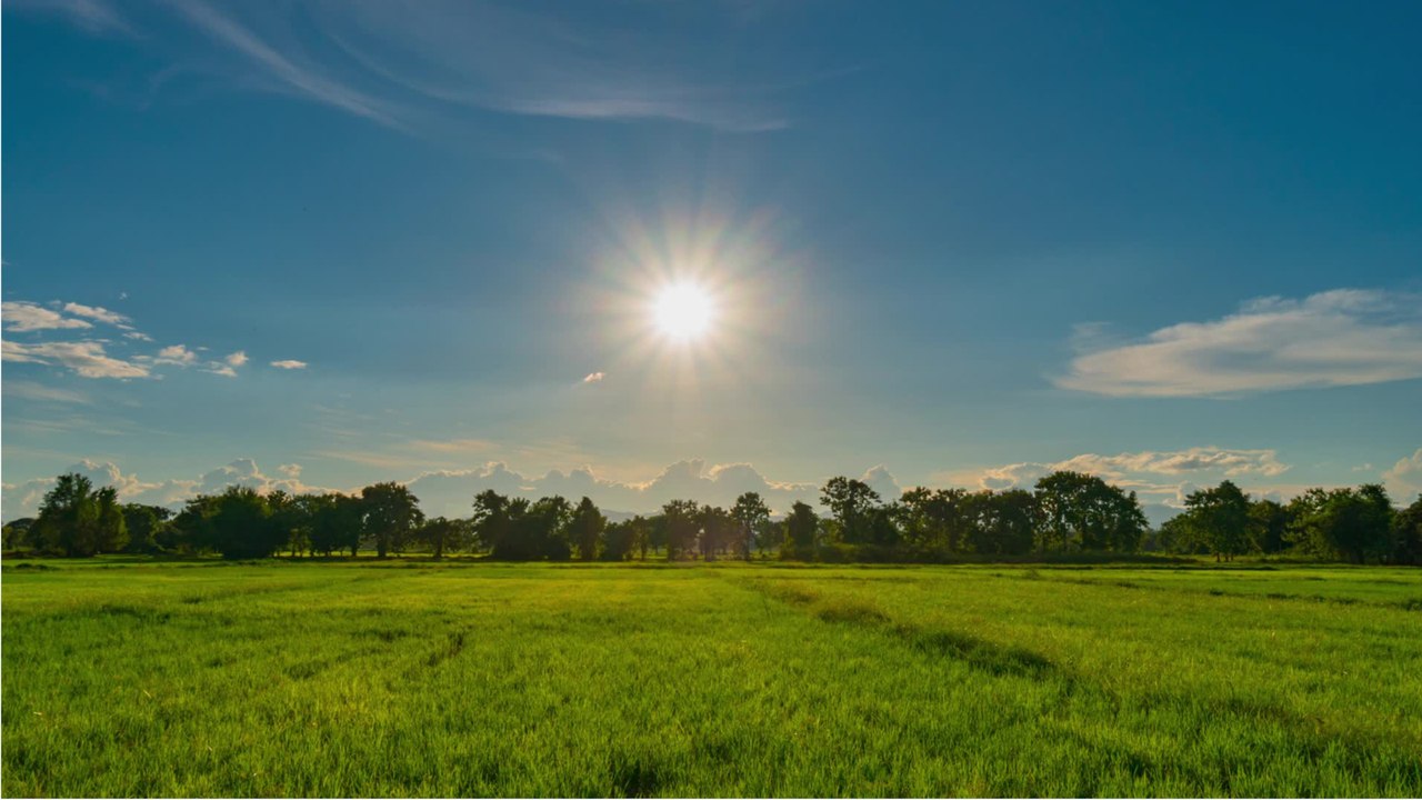 Wetterdienst: sonnigster sommer seit aufzeichnungsbeginn