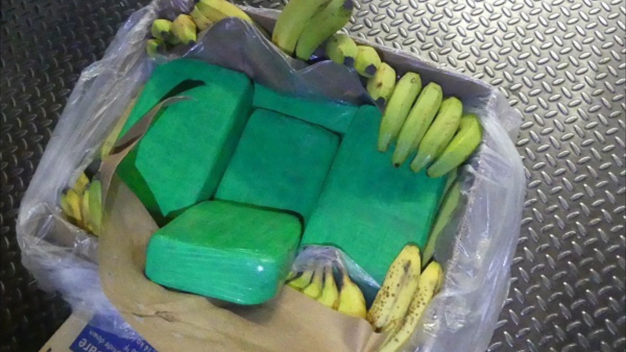 Obsthändler findet 660 kilo kokain in bananenkisten