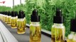 Nearly 60% Of CBD Products Are Mislabeled And Containing Heavy Metals, Study Finds