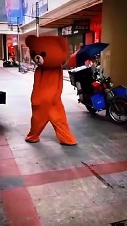 naught bear most very funny video   