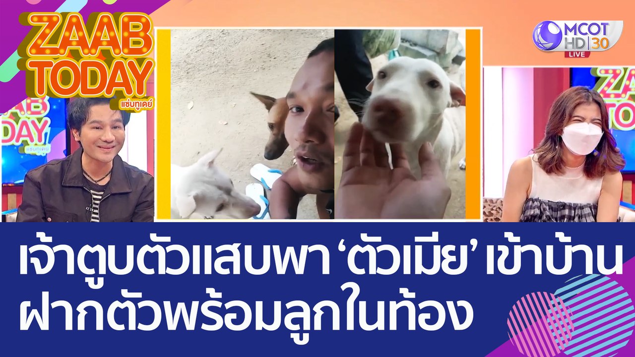 เจ้าตูบตัวแสบ ทำสาวท้อง! พา 'ตัวเมีย' เข้าบ้านฝ...