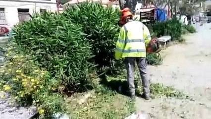 VIA EVEMERO, ARRIVANO I NOSTRI