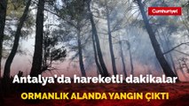 Antalya'da ormanlık alanda yangın çıktı