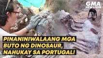 Remains of large dinosaur skeleton unearthed in Portugal | GMA News Feed