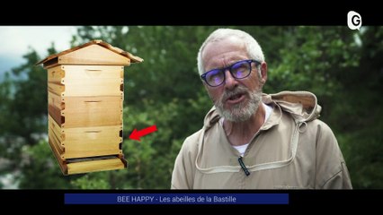 Reportage - BEE HAPPY - Les abeilles de la Bastille - Reportages - TéléGrenoble