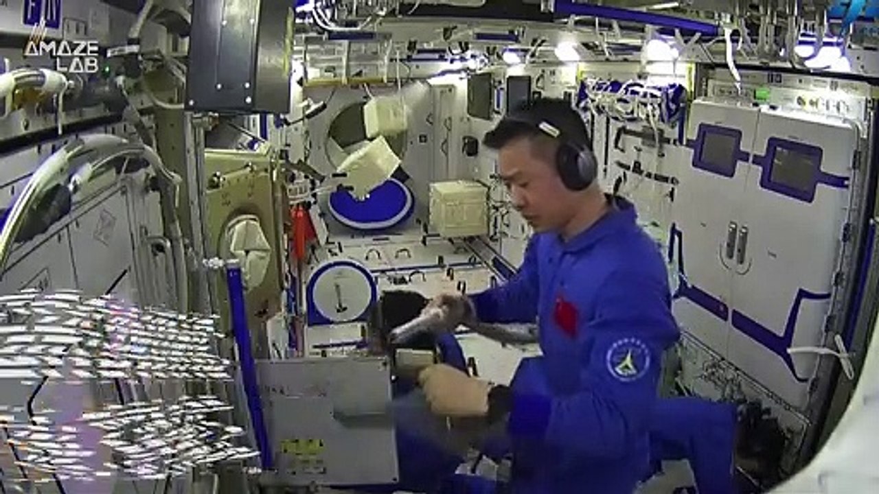 Chinese Astronauts Successfully Germinate and Grow New Plants in Space