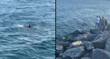 İstanbul’da denize atladı: Vatandaşlar kurtardı