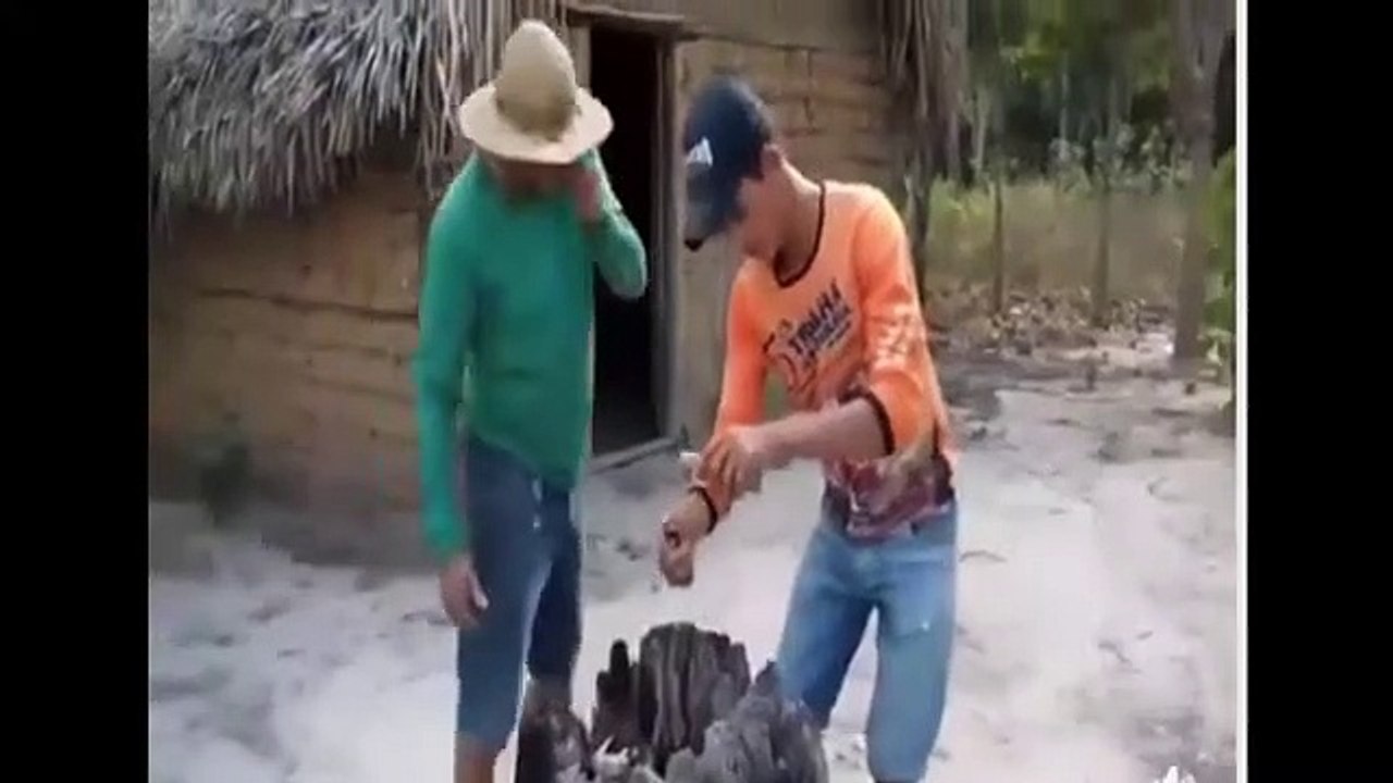 enquanto isso na Bahia