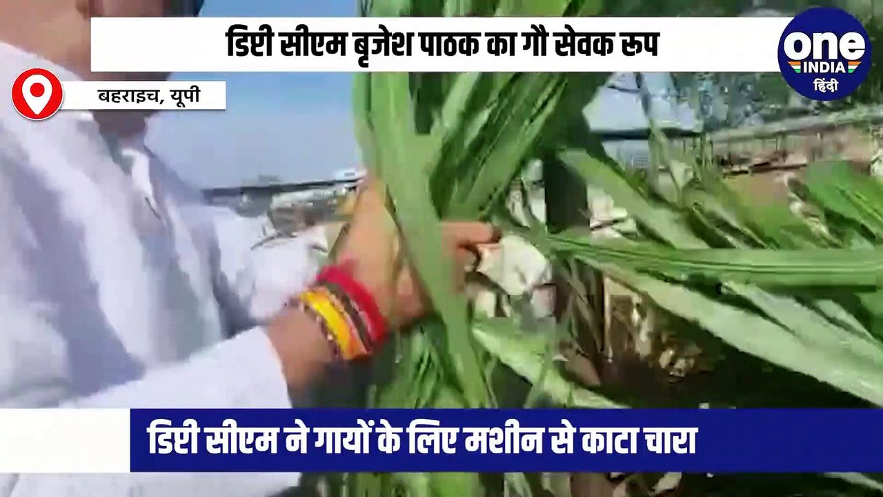 डिप्टी सीएम बृजेश पाठक का गौ सेवक रूप