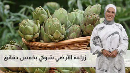 فوائد وكيفية زراعنها الأرضي شوكي