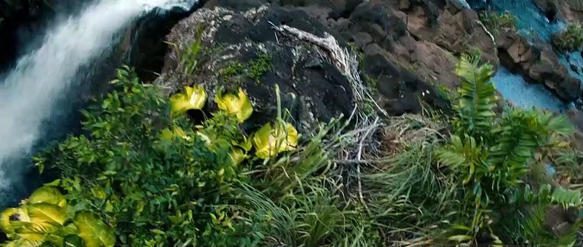 Pirates des Caraïbes : La Fontaine de jouvence Bande-annonce (ES)