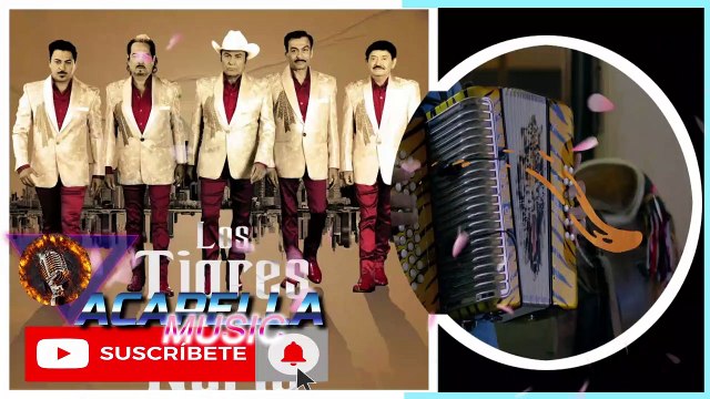 TIGRES DEL NORTE - MAL NEGOCIO (ACAPELLA)