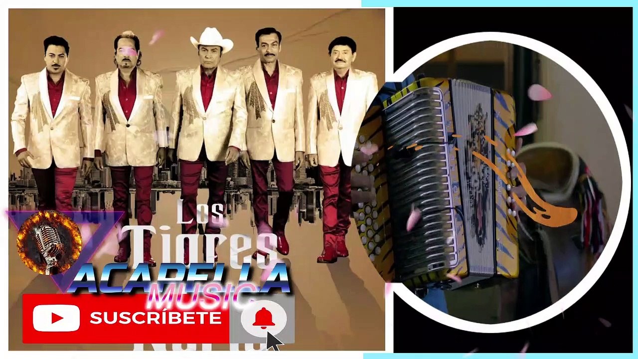 TIGRES DEL NORTE - MAL NEGOCIO (ACAPELLA)