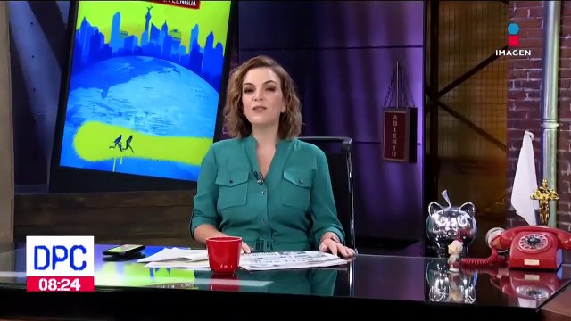 Reubican a 118 felinos rescatados de la fundación Black Jaguar-White Tiger