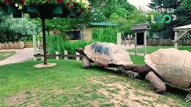 30 MIND BLOWING MOMENTS CAUGHT ON CAMERA