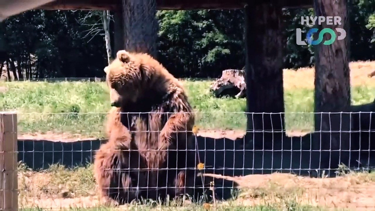 30 INCREDIBLE MOMENTS CAUGHT ON CAMERA