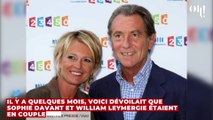 Ce jour où Sophie Davant a failli accoucher dans le salon de... William Leymergie