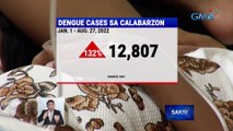 Kaso ng dengue sa CALABARZON, tumaas ng 132% kumpara sa parehong panahon noong 2021