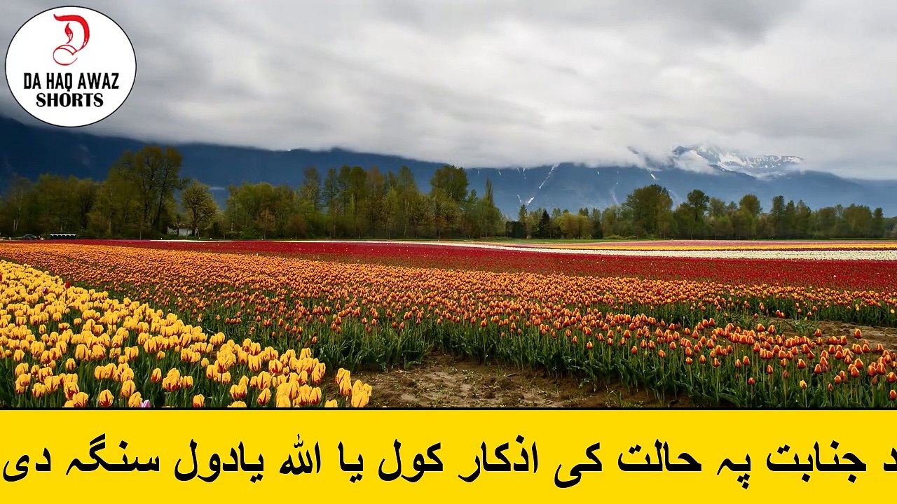 Sheikh Abu Hassan Ishaq pashto bayan - د جنابت پہ حالت کی اذکار کول یا اللہ یادول سنگہ دی - Da Haq Awaz
