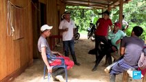 Presidente Gustavo Petro propone nueva estrategia para reemplazar cultivos de coca en Catatumbo
