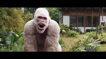 Rampage : Hors de contrôle Bande-annonce (FR)