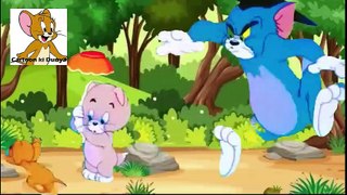 tom and jerry full screen Episode - Tom and Jerry Cartoon
