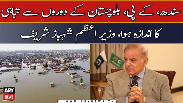 PM Shehbaz Sharif talks to international media on flood situation in Pakistan