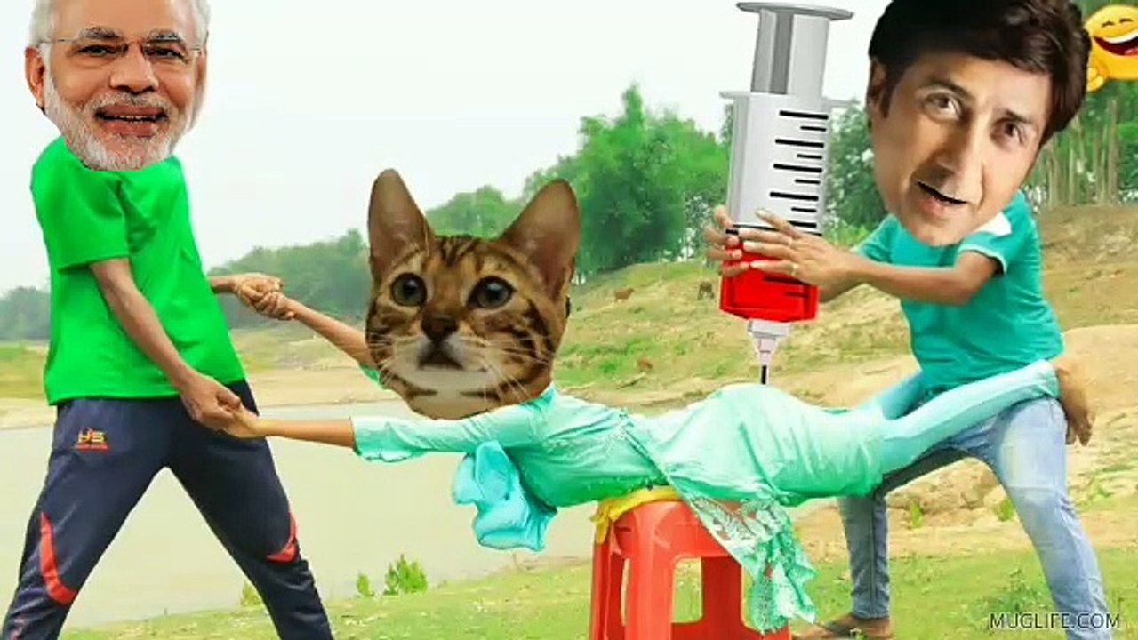 Modi comday !! Sani davl comday !! cat cute comday feny !! मोदी बिल्ली को पकड़ रखना #सनी_देओल_कॉमेडी