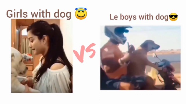 Memes Compilation Of 2022 | Funniest girls with Dog And boys with Dogs | Funny memes | MEMES WALA