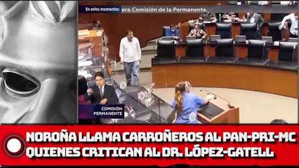 ¡Noroña llama “carroñeros” al PAN-PRI-MC quienes critican al Dr. López-Gatell!