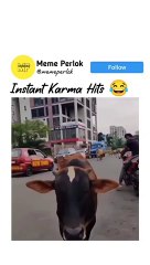 Wait For Twice watch now