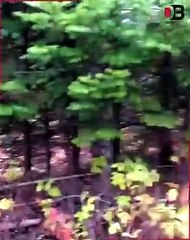 Kisi ne dekha nahi ho ga jo hua hai