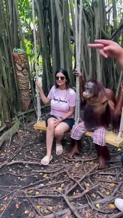 Monkey fun with woman