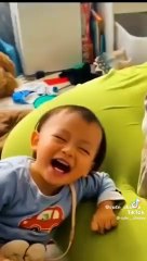 Cute Funny Animal TikToks That Made Me Laugh