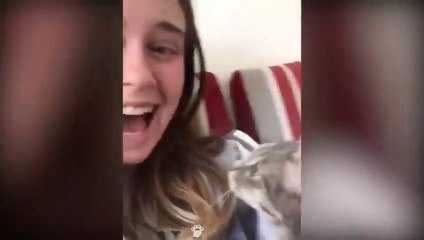 Cat Can Understand Whatever People Say