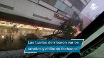 Árbol cae sobre puesto de periódicos en Puebla; hay un menor fallecido