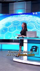 Detik-detik Komentator Olahraga Digaplok Kucing saat Siaran Langsung di Tv
