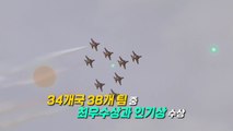 [영상] 피라미드 상공을 가르다...韓 위상 드높인 '블랙이글스' / YTN
