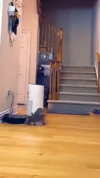 What a jump
