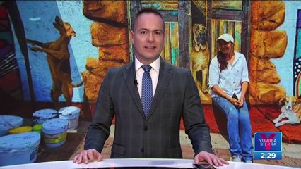 Plasman a perrito en mural en busca de frenar el maltrato animal