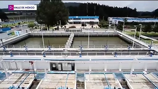 Black Jaguar-White Tiger: suman 118 grandes felinos reubicados