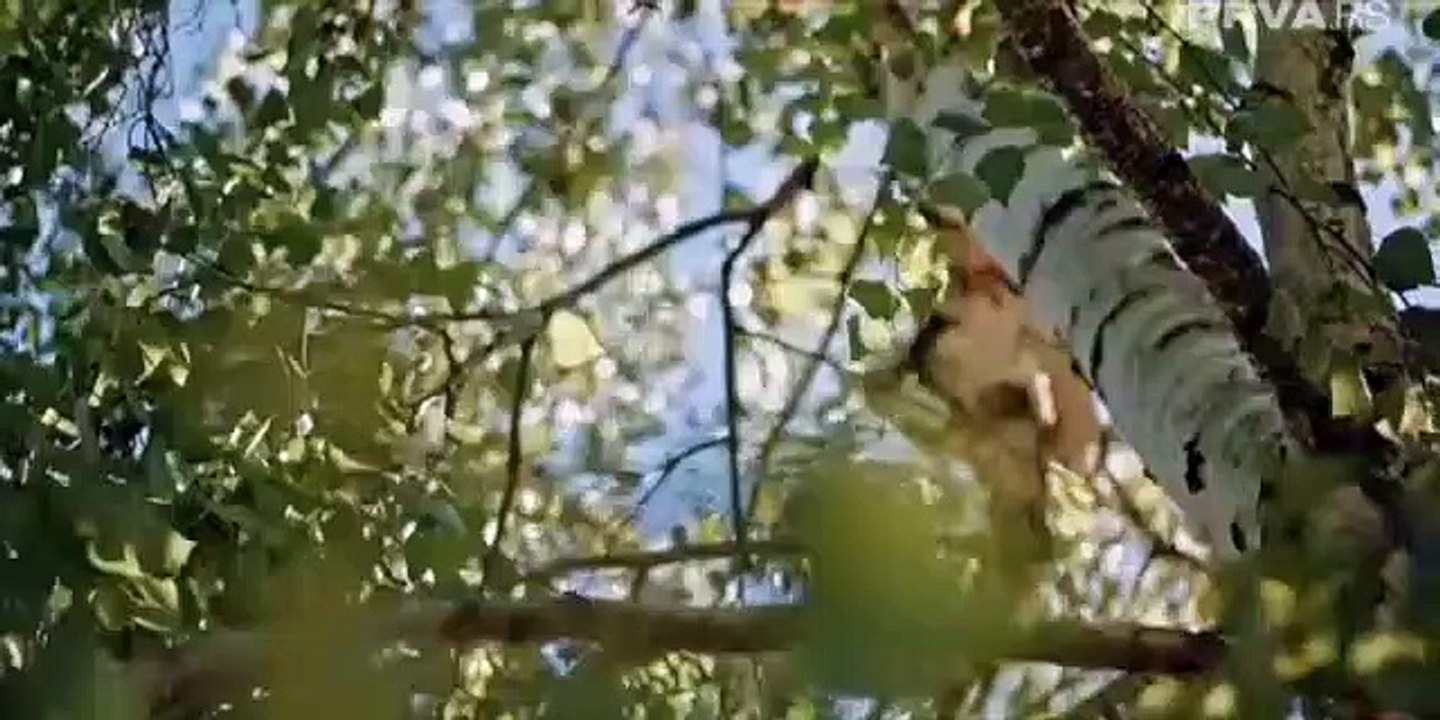Mala supruga 76 epizoda