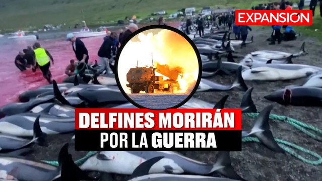 DELFINES en PELIGRO por la GUERRA entre RUSIA y UCRANIA | ÚLTIMAS NOTICIAS
