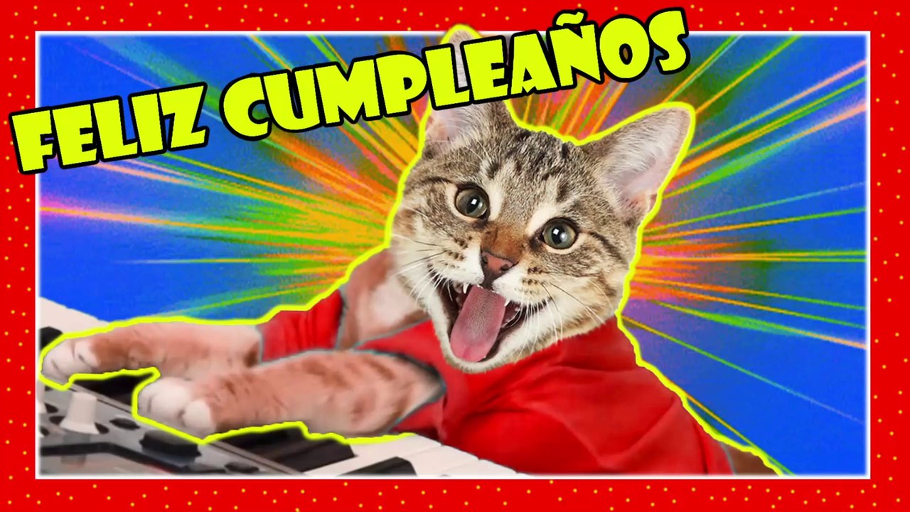 FELIZ CUMPLEAÑOS 2022 GATOS maullando GATOS maullandonumero 1 para felicitar [TODO RISAS]Happy Day