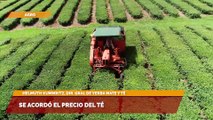 Sala cinco  Se acordó el precio del té