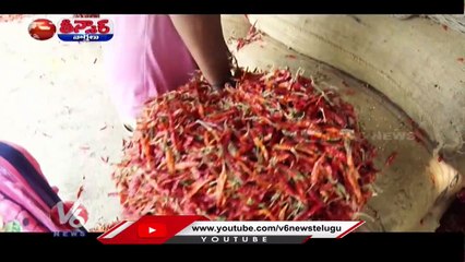 Mirchi Price Competing With Gold At Khammam Market | V6 News